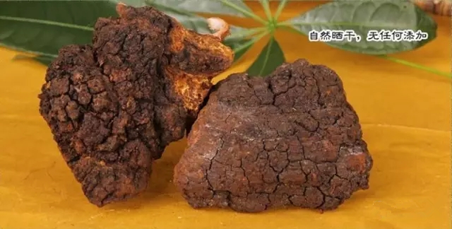 樺樹茸的價格與質量：是否存在直接關系？一斤多少錢合理？